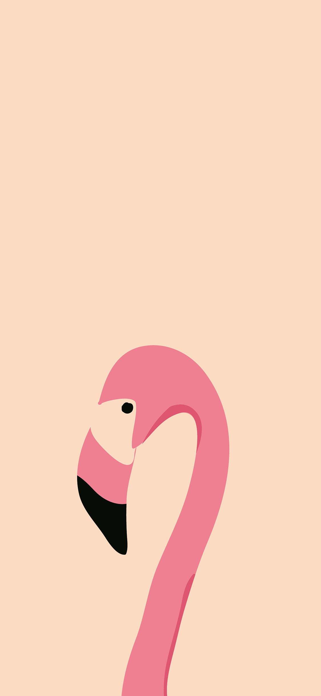 [2436×1125]火烈鸟 羽毛 翅膀 弯曲 苹果手机动漫壁纸图片