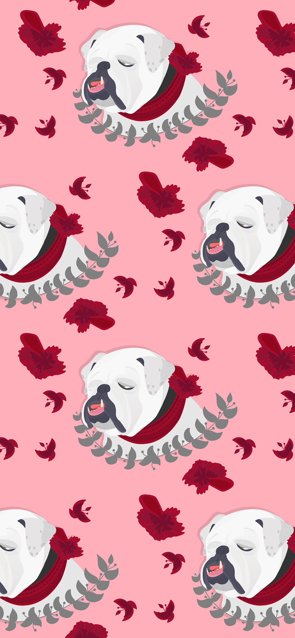 [2436×1125]狗 粉色 可爱 平铺 汪星人 苹果手机动漫壁纸图片