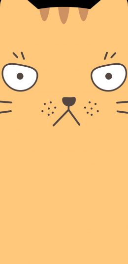 [2436x1125]猫咪 卡通 喵星人 可爱 苹果手机动漫壁纸图片