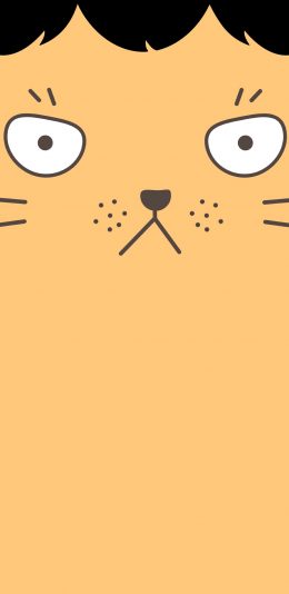 [2436x1125]猫咪 喵星人 刘海 卡通 苹果手机动漫壁纸图片