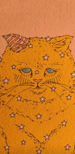 [2436x1125]猫咪 插图 黄色 星星 苹果手机动漫壁纸图片