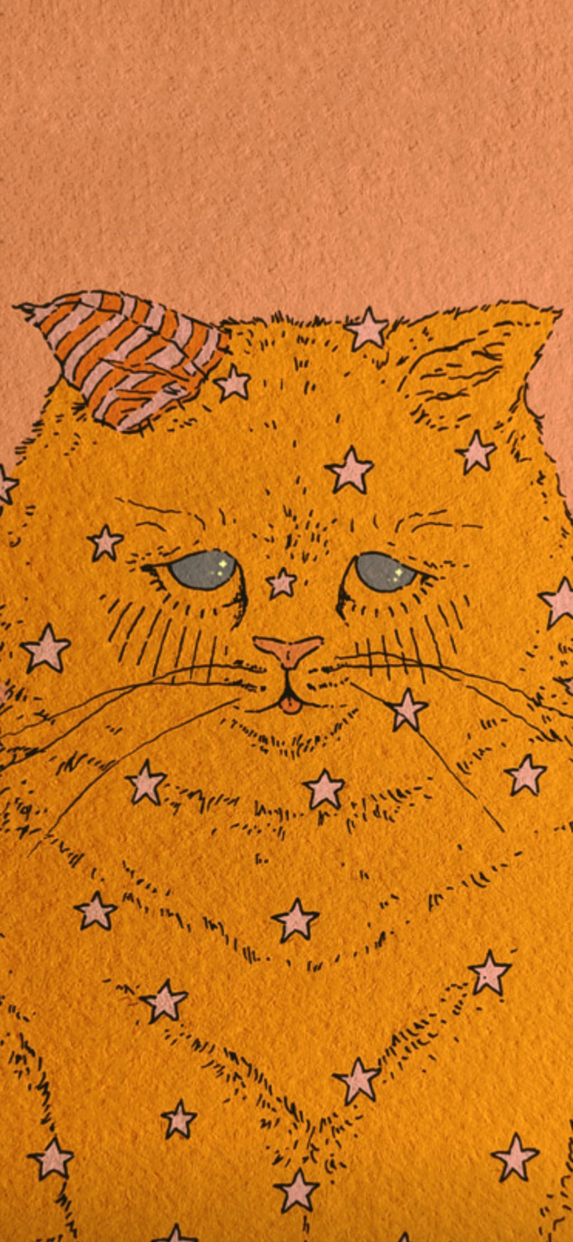 [2436×1125]猫咪 插图 黄色 星星 苹果手机动漫壁纸图片
