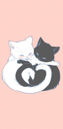 [2436x1125]猫咪 黑白 粉 爱心 可爱 苹果手机动漫壁纸图片
