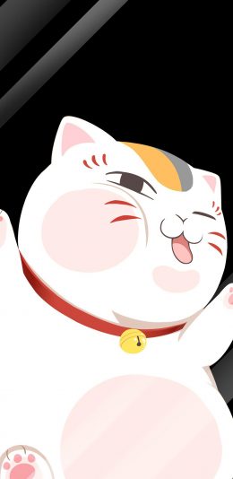 [2436x1125]猫咪老师 夏目友人帐 玻璃 日本 漫画 苹果手机动漫壁纸图片