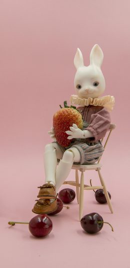 [2436x1125]玩具 摆件 兔子 草莓 樱桃 创意 苹果手机动漫壁纸图片