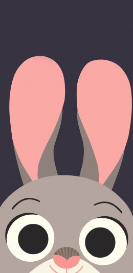 [2436x1125]疯狂动物城 朱迪·霍普斯 棉尾兔 动画 电影 苹果手机动漫壁纸图片