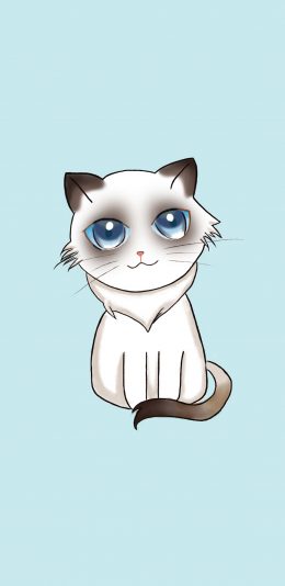 [2436x1125]纯色背景 卡通 猫咪 大眼睛 苹果手机动漫壁纸图片