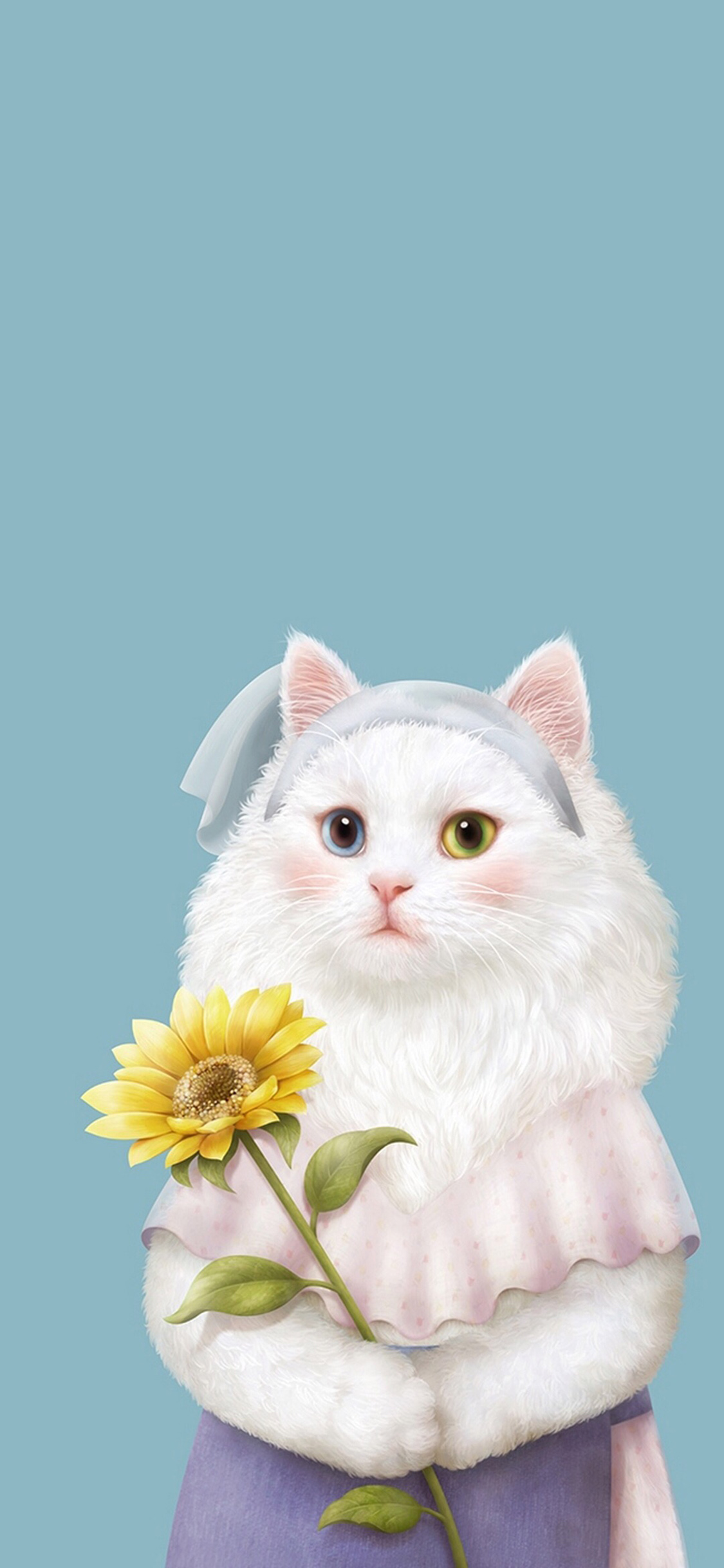 [2436×1125]纯色背景 插图 猫咪 可爱 苹果手机动漫壁纸图片