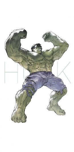 [2436x1125]绿巨人 超级英雄 欧美 复仇者联盟 手绘 苹果手机动漫壁纸图片