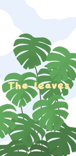 [2436x1125]绿植 the leaves 龟背竹 苹果手机动漫壁纸图片