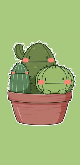 [2436x1125]绿色背景 卡通 盆栽 仙人掌 苹果手机动漫壁纸图片