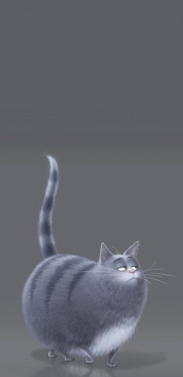 [2436x1125]美国 动画 爱宠大机密 冰冰 虎斑猫 苹果手机动漫壁纸图片