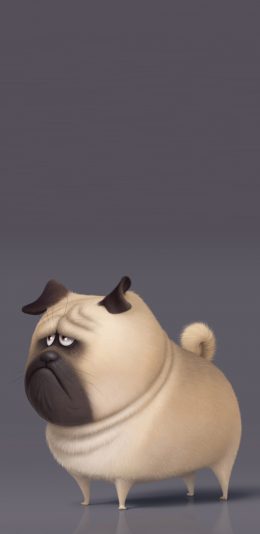 [2436x1125]美国 动画 爱宠大机密 大毛 巴哥犬 苹果手机动漫壁纸图片