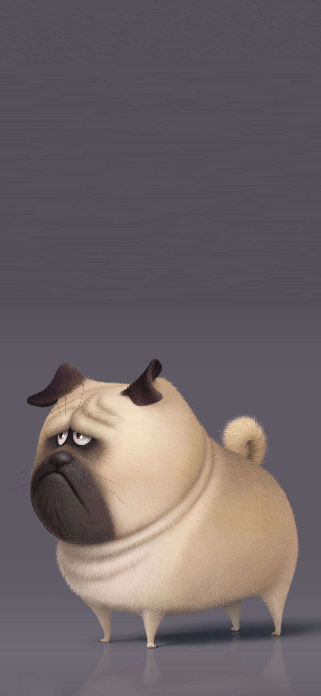 [2436×1125]美国 动画 爱宠大机密 大毛 巴哥犬 苹果手机动漫壁纸图片