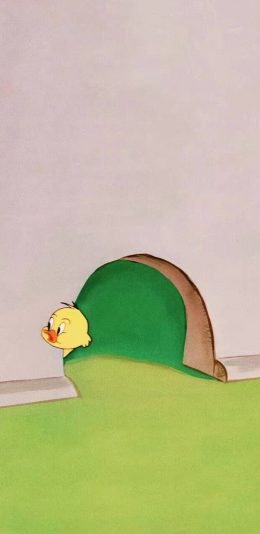 [2436x1125]美国 动画 猫和老鼠 小鸭子 苹果手机动漫壁纸图片