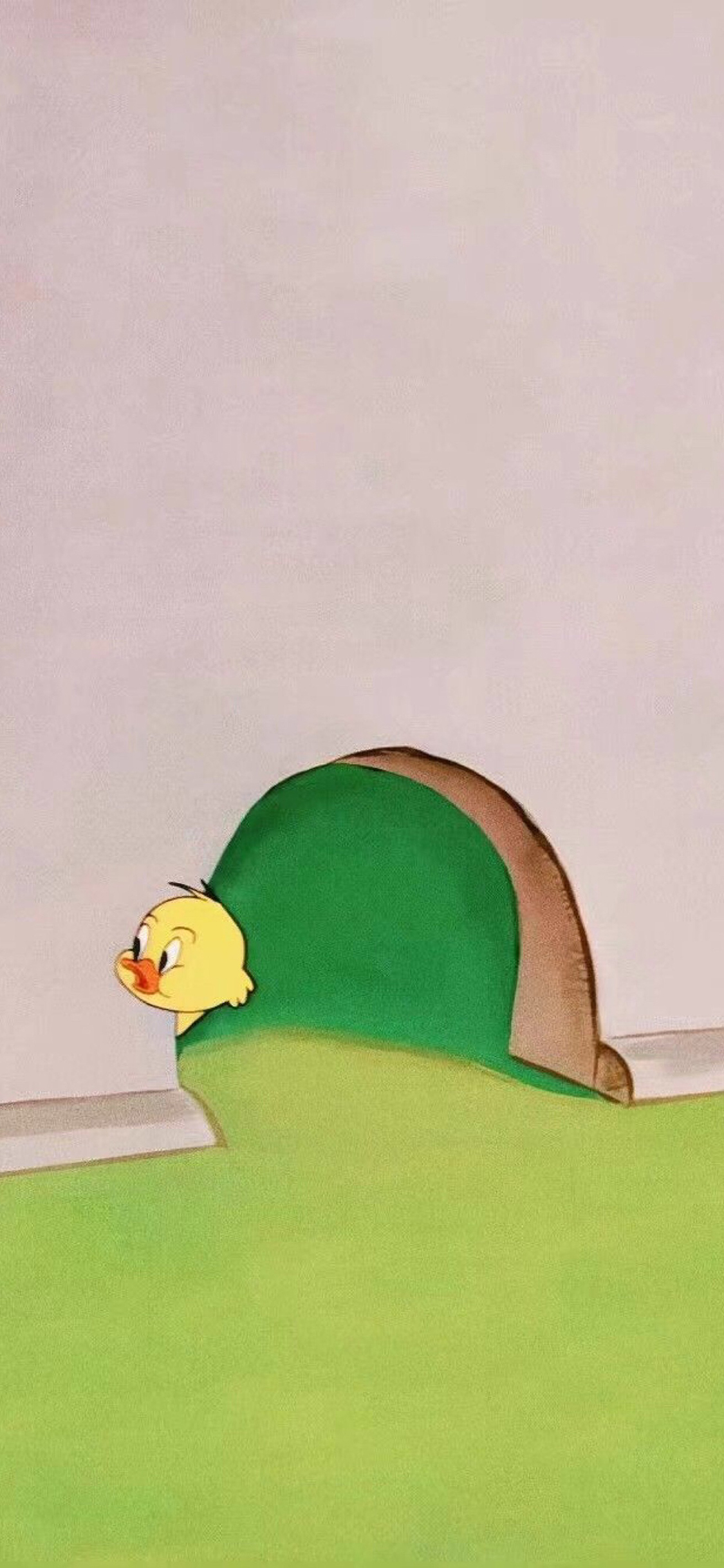 [2436×1125]美国 动画 猫和老鼠 小鸭子 苹果手机动漫壁纸图片