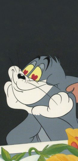 [2436x1125]美国 动画 猫和老鼠 汤姆猫 Tom 苹果手机动漫壁纸图片