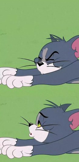 [2436x1125]美国 猫和老鼠 Tom 汤姆猫 苹果手机动漫壁纸图片