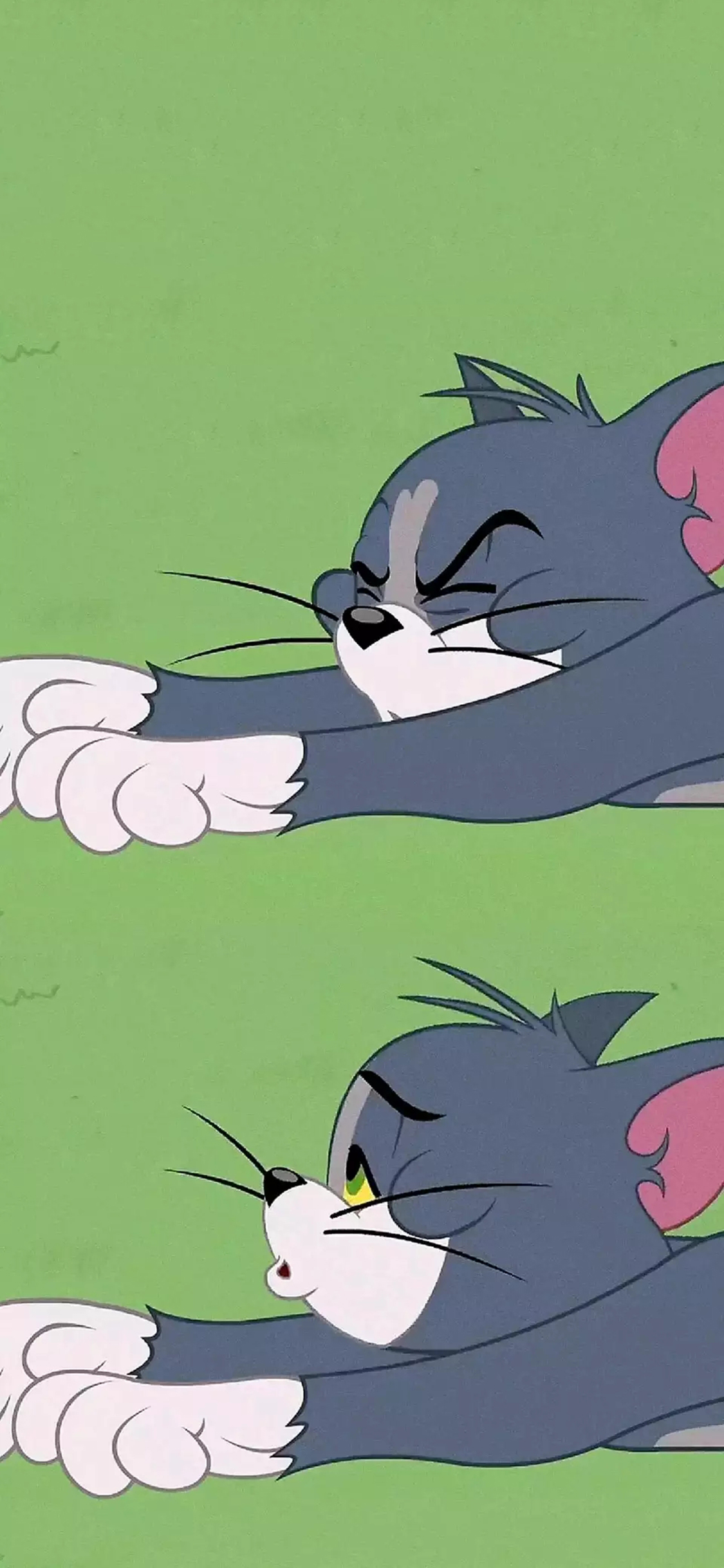 [2436×1125]美国 猫和老鼠 Tom 汤姆猫 苹果手机动漫壁纸图片