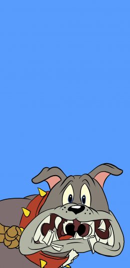 [2436x1125]美国 猫和老鼠 斯派克 斗牛 苹果手机动漫壁纸图片