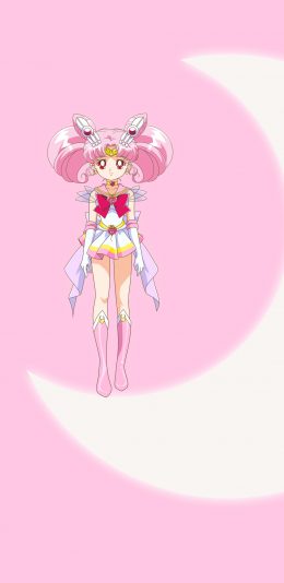 [2436x1125]美少女战士 粉色 小小兔 月亮 动画 苹果手机动漫壁纸图片