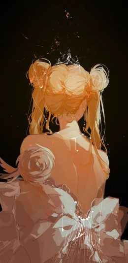 [2436x1125]美少女战士 背影 月野兔 皇冠 动画 苹果手机动漫壁纸图片