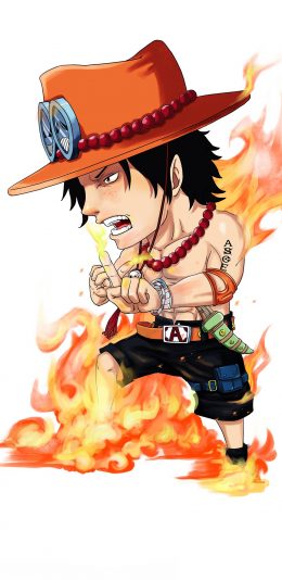 [2436x1125]艾斯 海贼王 火拳 one piece 苹果手机动漫壁纸图片
