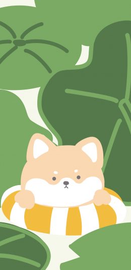 [2436x1125]荷叶 柴犬 泳圈 卡通 苹果手机动漫壁纸图片