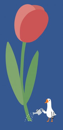 [2436x1125]蓝色背景 卡通 白鹅 郁金香 浇水 苹果手机动漫壁纸图片