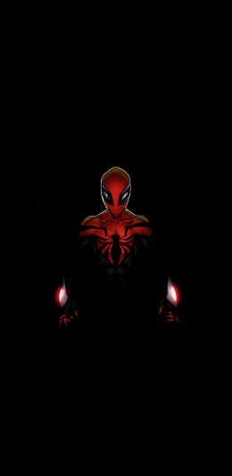 [2436x1125]蜘蛛侠 漫威 漫画 超级英雄 欧美 苹果手机动漫壁纸图片