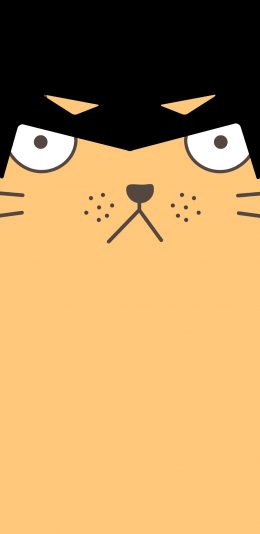 [2436x1125]蝙蝠侠 动画 猫咪 可爱 苹果手机动漫壁纸图片