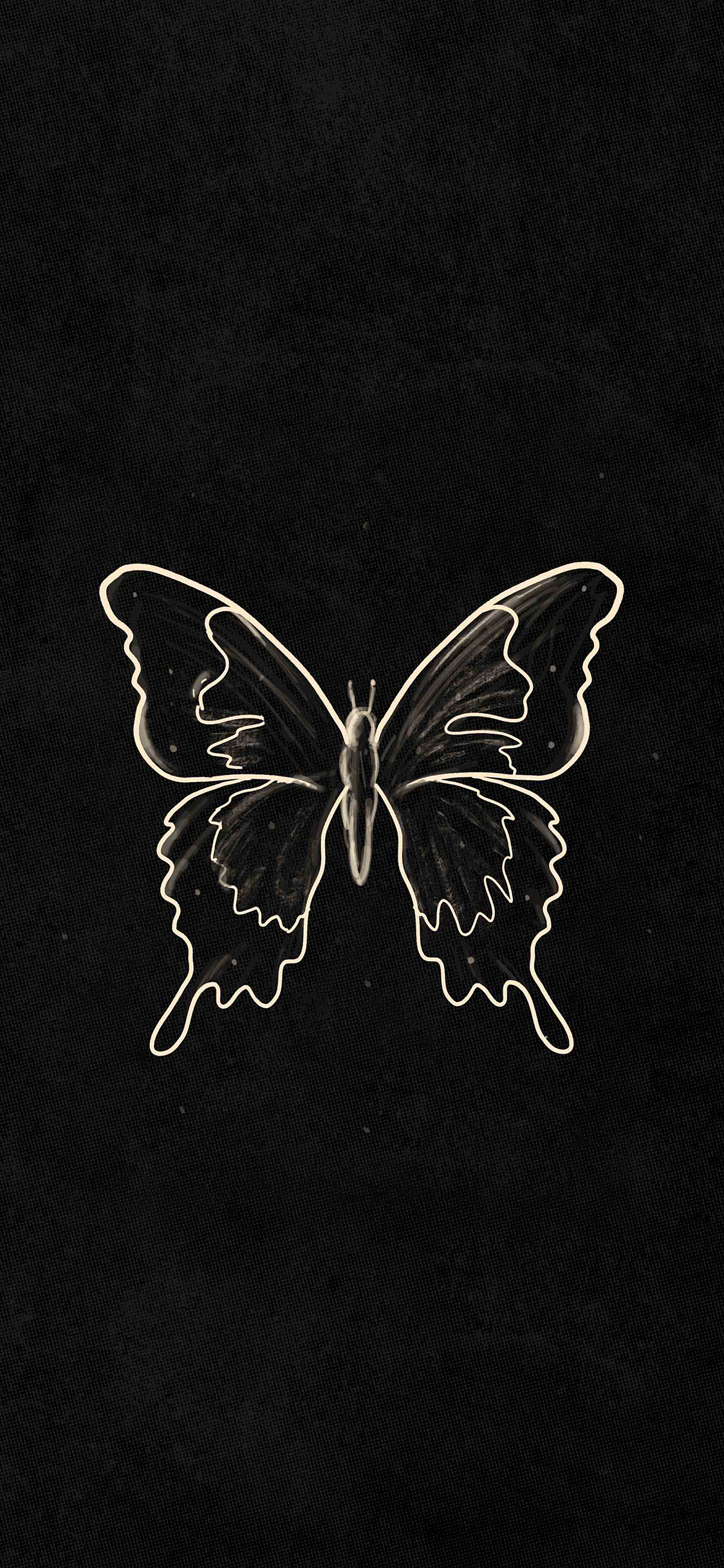 [2436×1125]蝴蝶 黑白 昆虫 苹果手机动漫壁纸图片