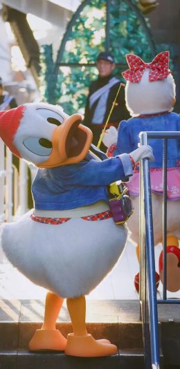 [2436x1125]迪士尼 动画 唐老鸭 玩偶 苹果手机动漫壁纸图片