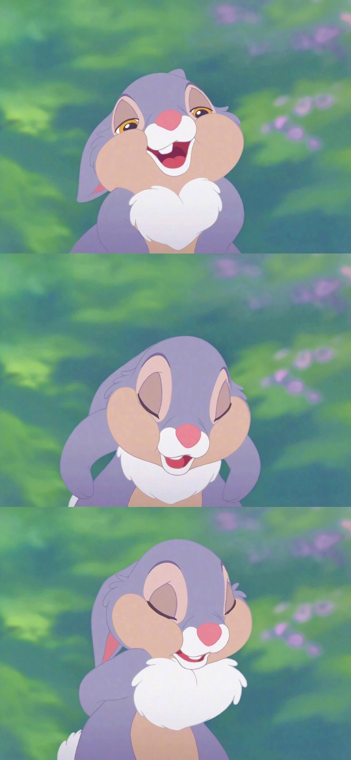 [2436×1125]迪士尼 动画 小鹿斑比 桑普兔 打手 苹果手机动漫壁纸图片