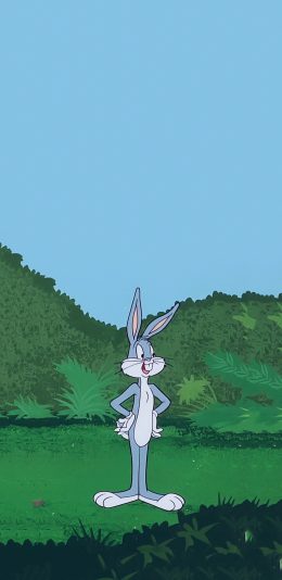 [2436x1125]迪士尼 卡通 兔八哥 苹果手机动漫壁纸图片