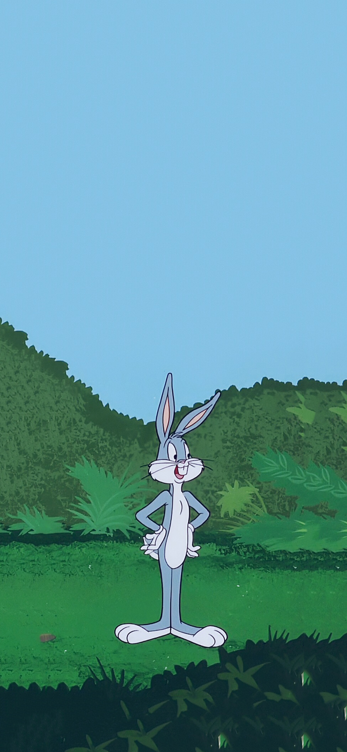 [2436×1125]迪士尼 卡通 兔八哥 苹果手机动漫壁纸图片