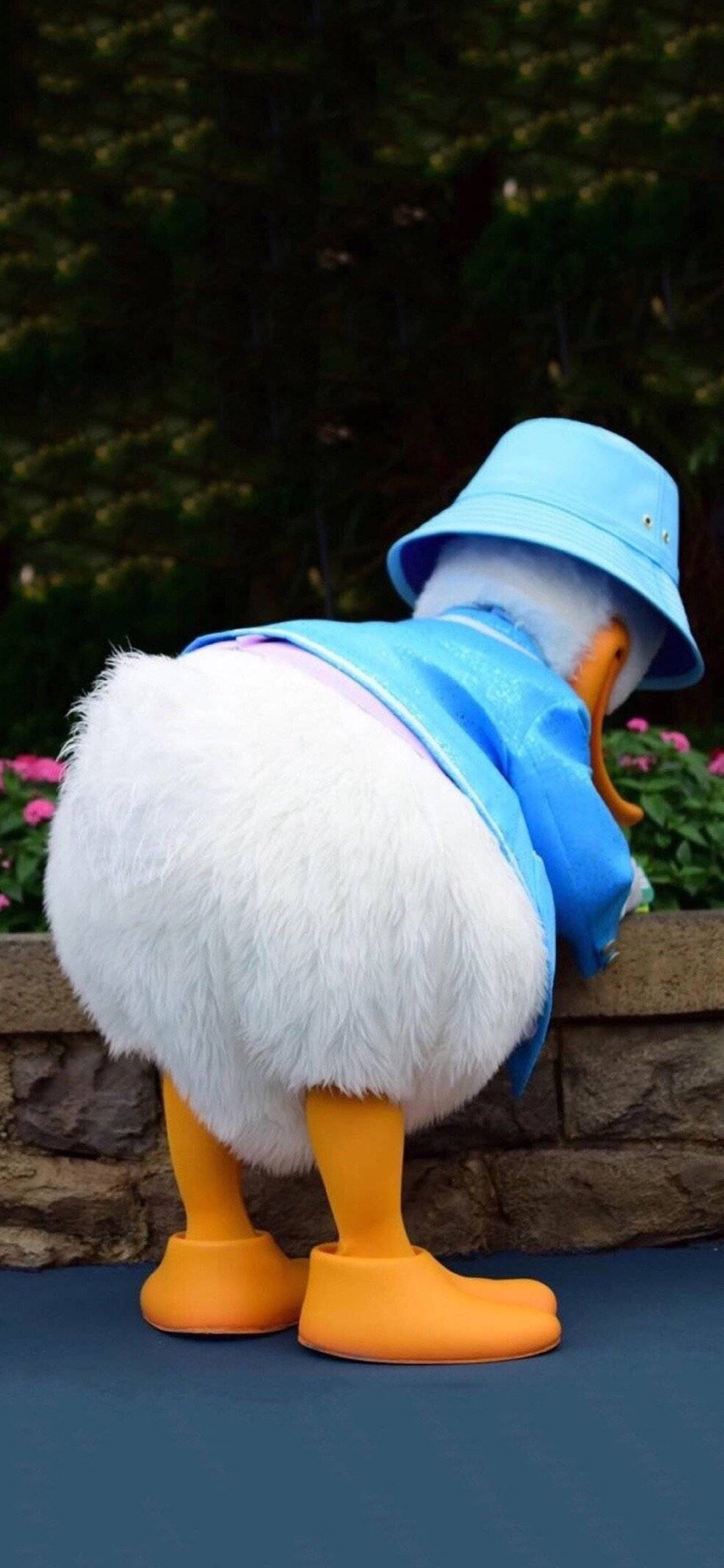 [2436×1125]迪士尼 卡通 唐老鸭 玩偶 苹果手机动漫壁纸图片