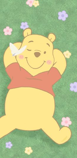 [2436x1125]迪士尼 卡通 小熊维尼 可爱（取自微博：一颗萝卜胡） 苹果手机动漫壁纸图片