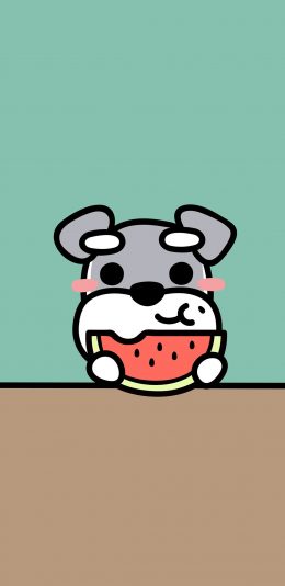 [2436x1125]雪纳瑞 狗 犬 卡通 可爱 吃西瓜 苹果手机动漫壁纸图片