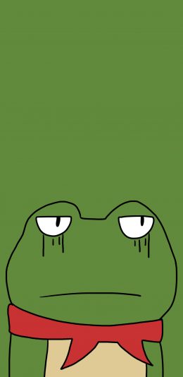 [2436x1125]青蛙 动画 无语 绿色 苹果手机动漫壁纸图片