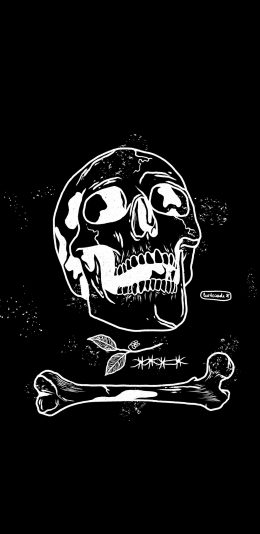 [2436x1125]骷髅头 黑白 骨头 绘画 苹果手机动漫壁纸图片
