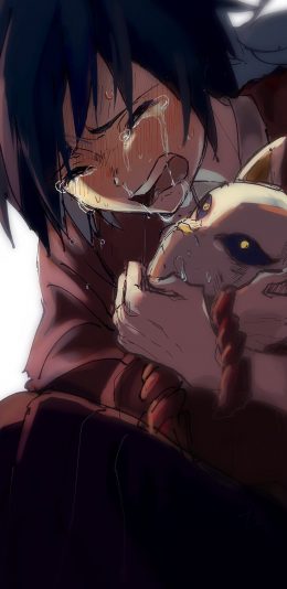 [2436x1125]鬼灭之刃 日漫  锖兔 角色 苹果手机动漫壁纸图片