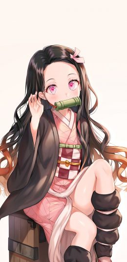 [2436x1125]鬼灭之刃 灶门祢豆子 日漫 苹果手机动漫壁纸图片