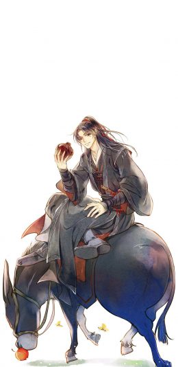 [2436x1125]魔道祖师 墨香铜臭 玄幻 驴 苹果手机动漫壁纸图片