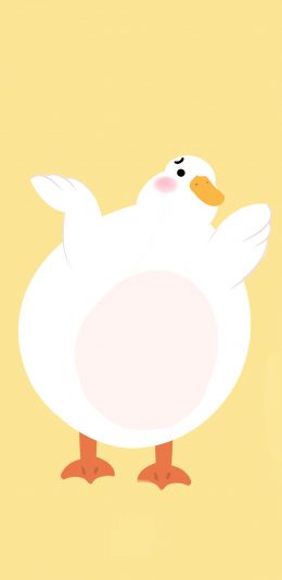 [2436x1125]鸭 肥鸭 黄 插画 苹果手机动漫壁纸图片