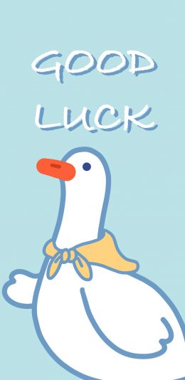 [2436x1125]鸭子 good luck 蓝 可爱 苹果手机动漫壁纸图片