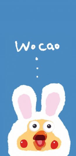 [2436x1125]鹦鹉兄弟 日本 wo cao 兔子 蓝色 苹果手机动漫壁纸图片