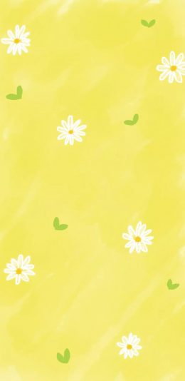 [2436x1125]黄色 背景 花朵 菊花 平铺 苹果手机动漫壁纸图片