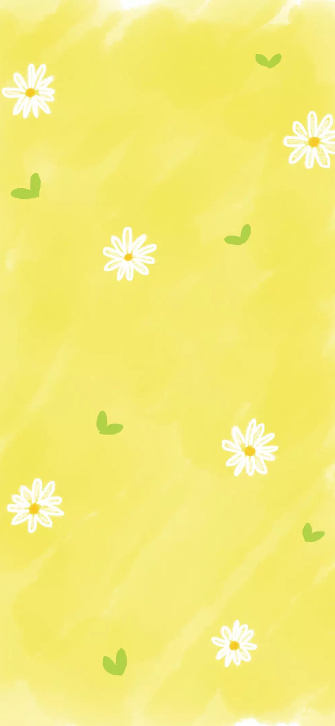 [2436×1125]黄色 背景 花朵 菊花 平铺 苹果手机动漫壁纸图片