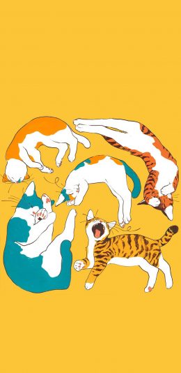 [2436x1125]黄色背景 卡通 猫咪 嬉闹 苹果手机动漫壁纸图片